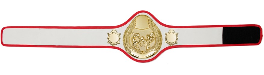 THAI BOXING CHAMPIONSHIP BELT-PRO301/G/TBOG- 10 + COLOURS THAI BOXING CHAMPIONSHIP BELT-PRO301/G/TBOG- 10 + COLOURS